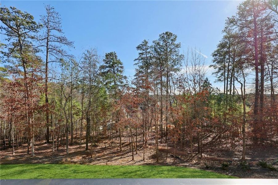 Natural landscape and outdoor views near  in Suwanee (Image 93).