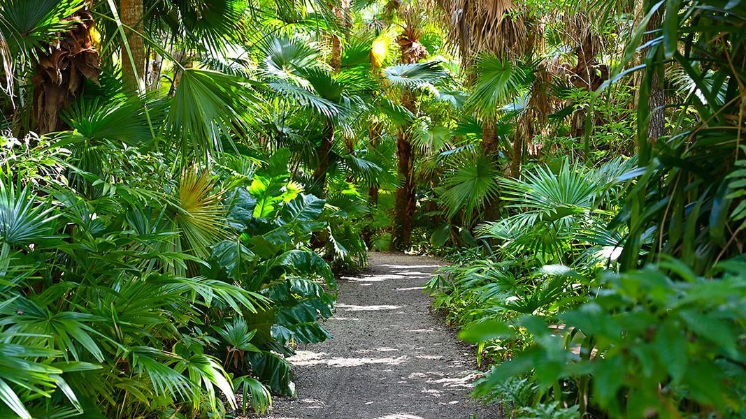 Natural landscape and outdoor views near Veranda Oaks in Port St. Lucie (Image 80).
