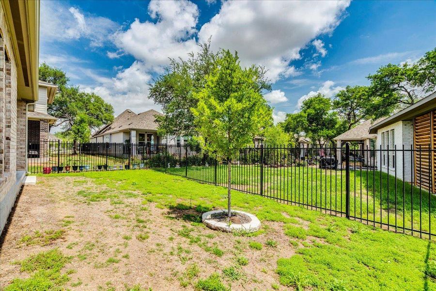 The property features an outdoor area with a lawn, a young tree with a stone border, and a black metal fence