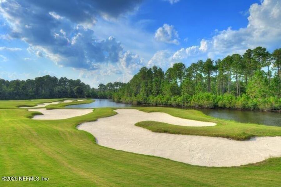 Natural landscape and outdoor views near Amelia National Country Club in Fernandina Beach (Image 43).