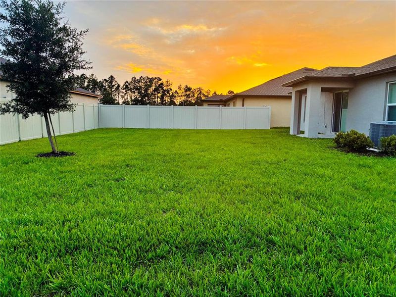 Exterior details and patio area of a home in Two Rivers, Zephyrhills (Image 3).