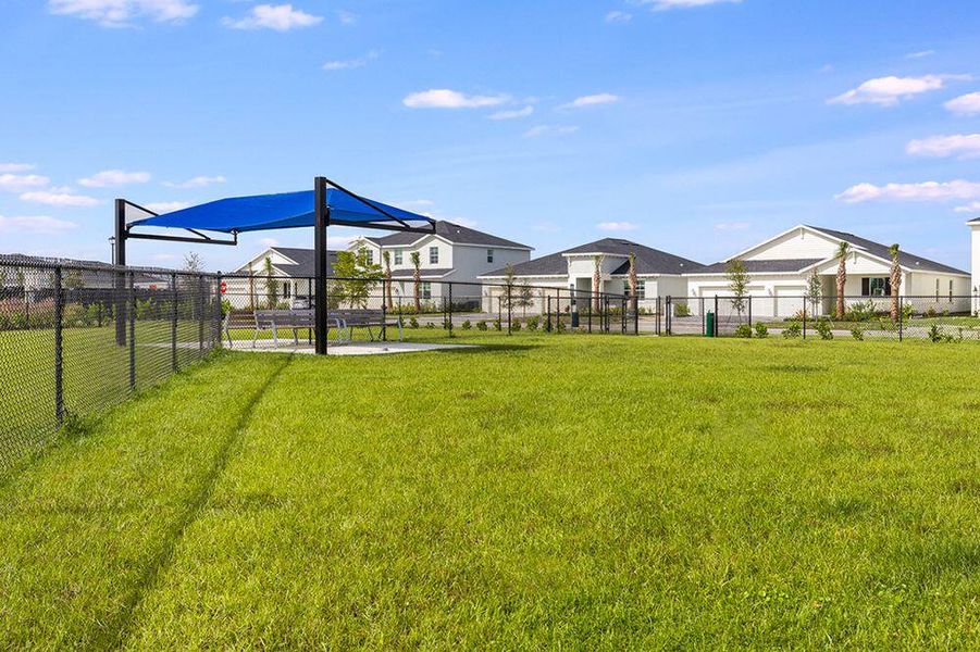 Central Park Community Amenities