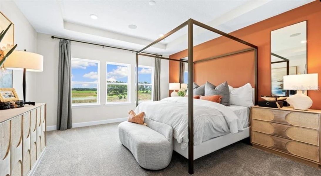 REPRESENTATIVE PHOTOS