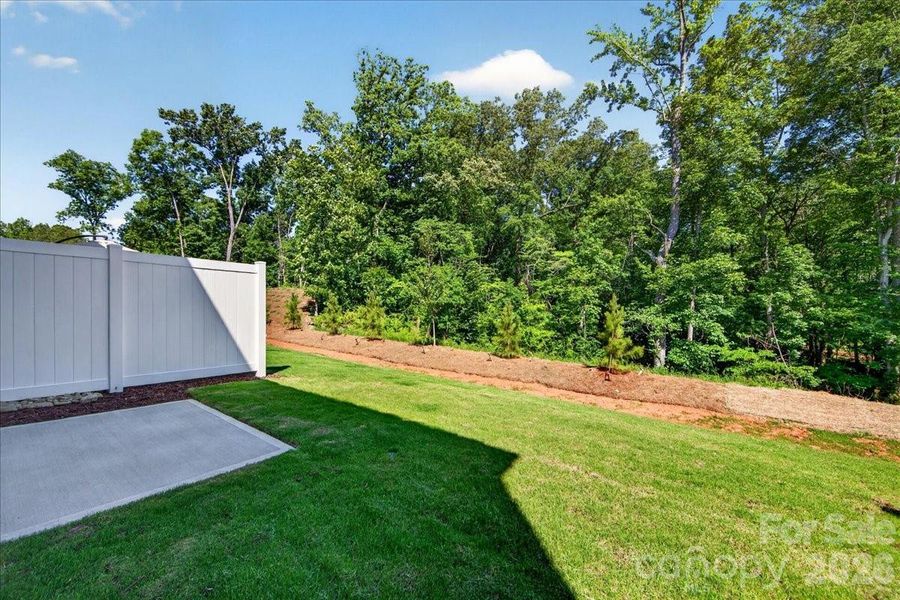 Outdoor living space with tree-lined views Outdoor living space with tree-lined views