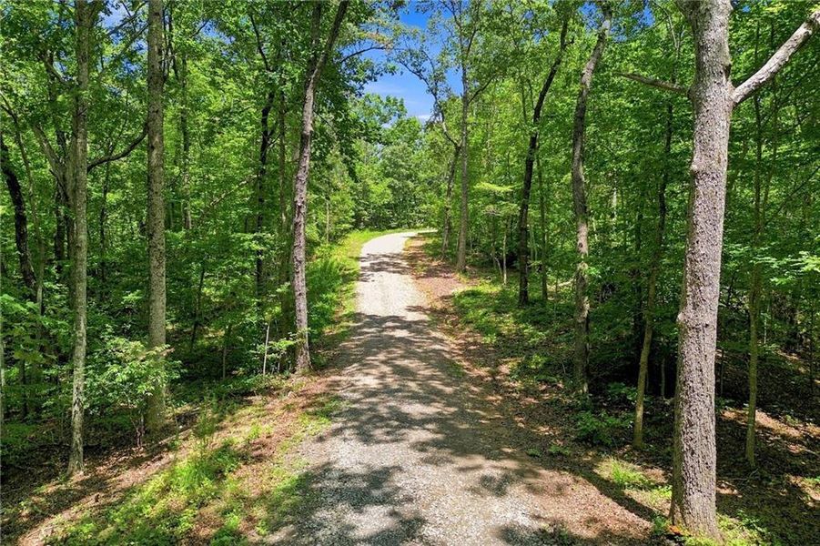 Natural landscape and outdoor views near  in Dawsonville (Image 58).