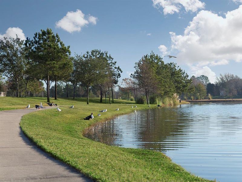 Image 15 of a home in Riverstone Ranch - The Manor - Estate.