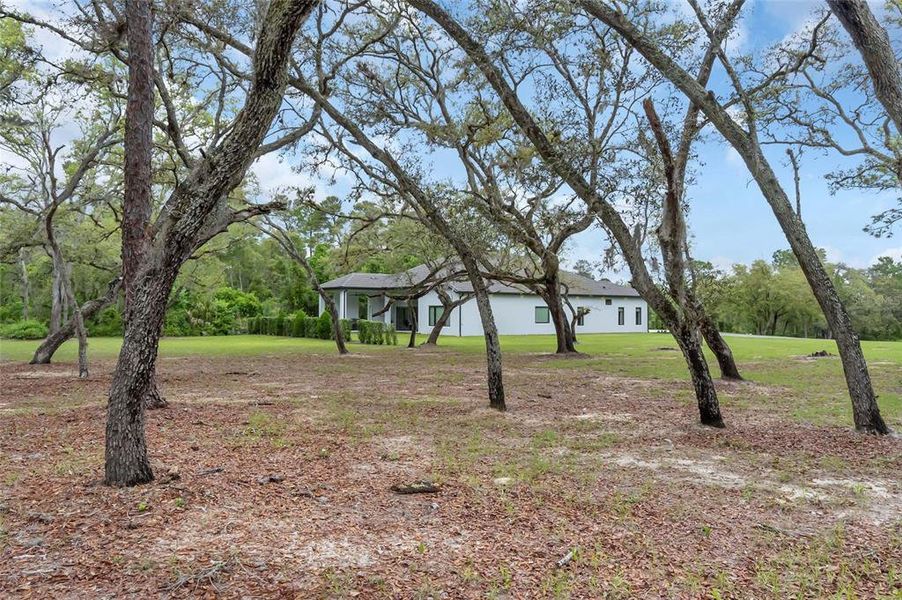 Natural landscape and outdoor views near in Kissimmee (Image 52). Natural landscape and outdoor views near in Kissimmee (Image 52).