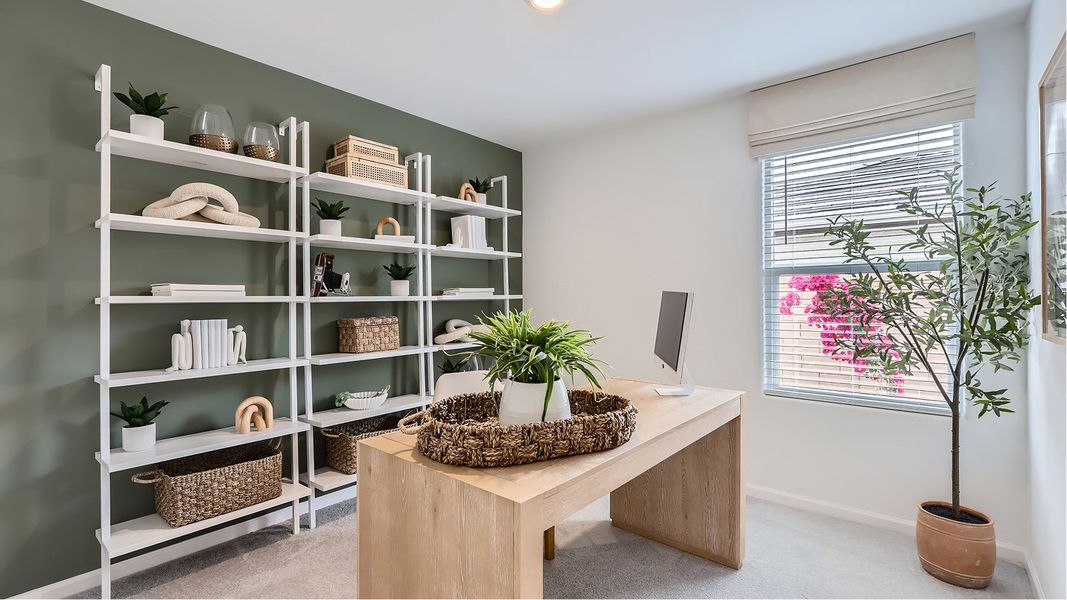 2569 Lilac Bed2 F1 2569 Lilac Bed2 F1