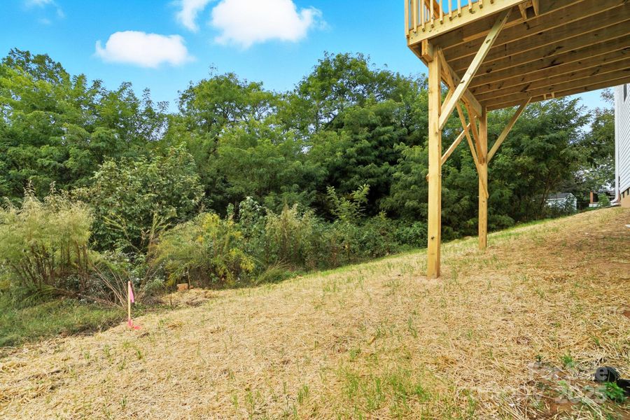 Scenic views from the Back Deck Scenic views from the Back Deck