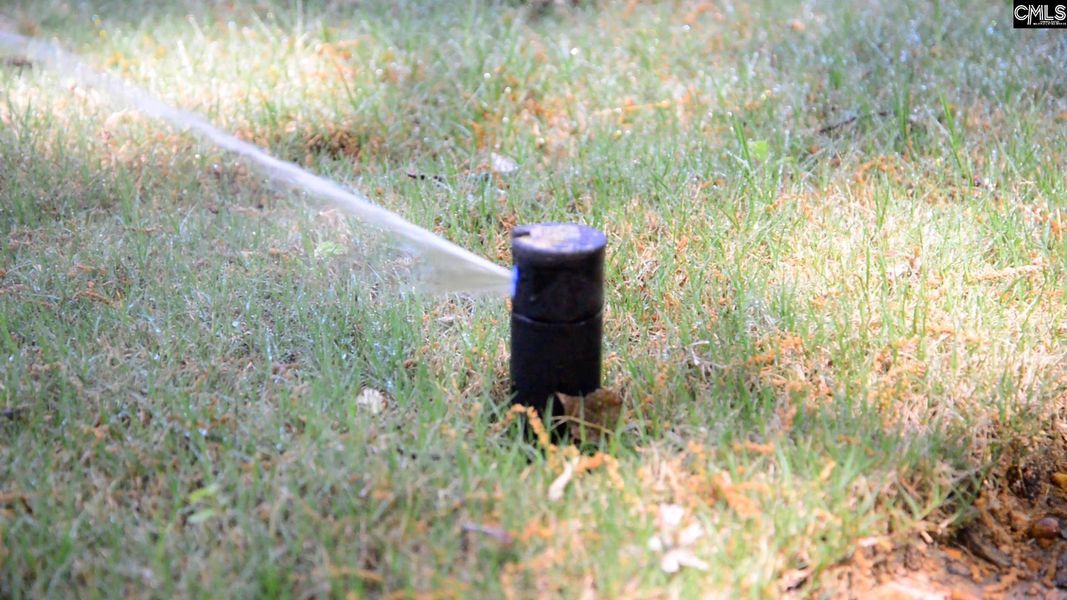 Natural landscape and outdoor views near Peachtree Hills in Lexington (Image 33).