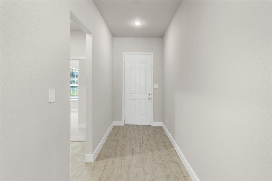 03. 141 Whistling Duck - Entry