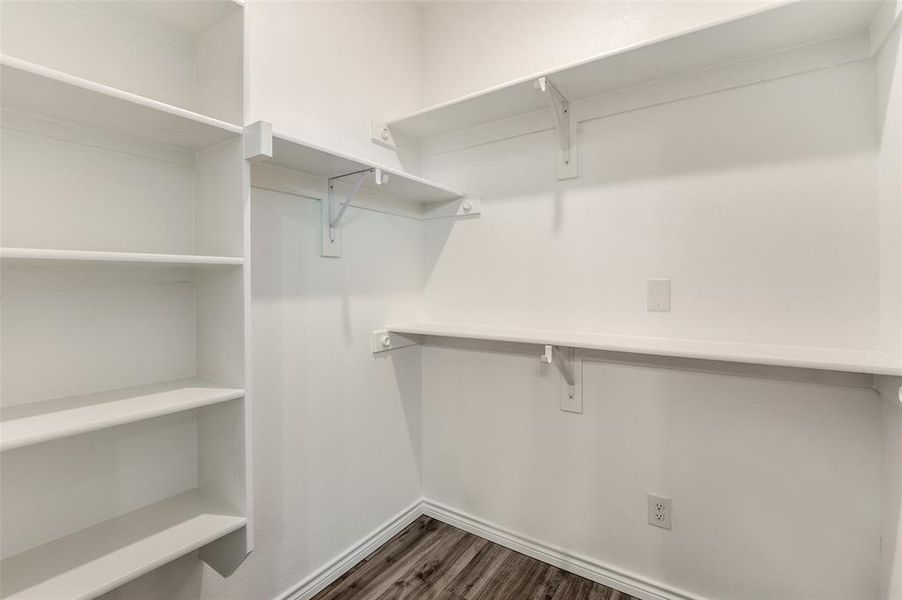 Spacious closet with dark wood-type flooring