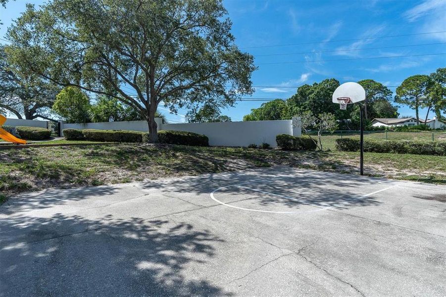 Community amenities in , Palm Harbor (Image 5).