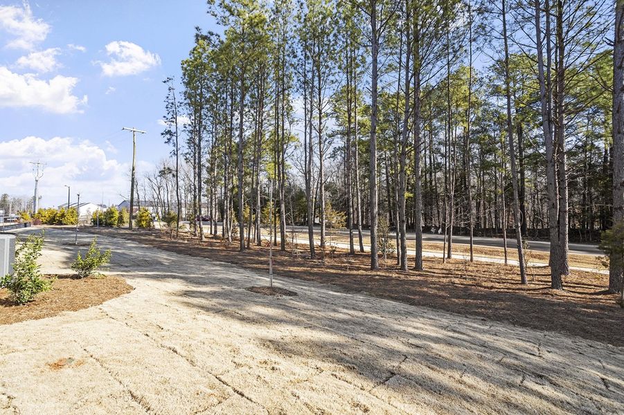 Natural landscape and outdoor views near Sweetbrier in Durham (Image 37).