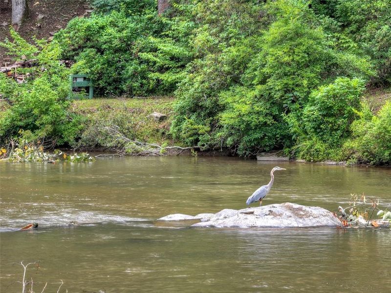 Natural landscape and outdoor views near  in Ellijay (Image 64).