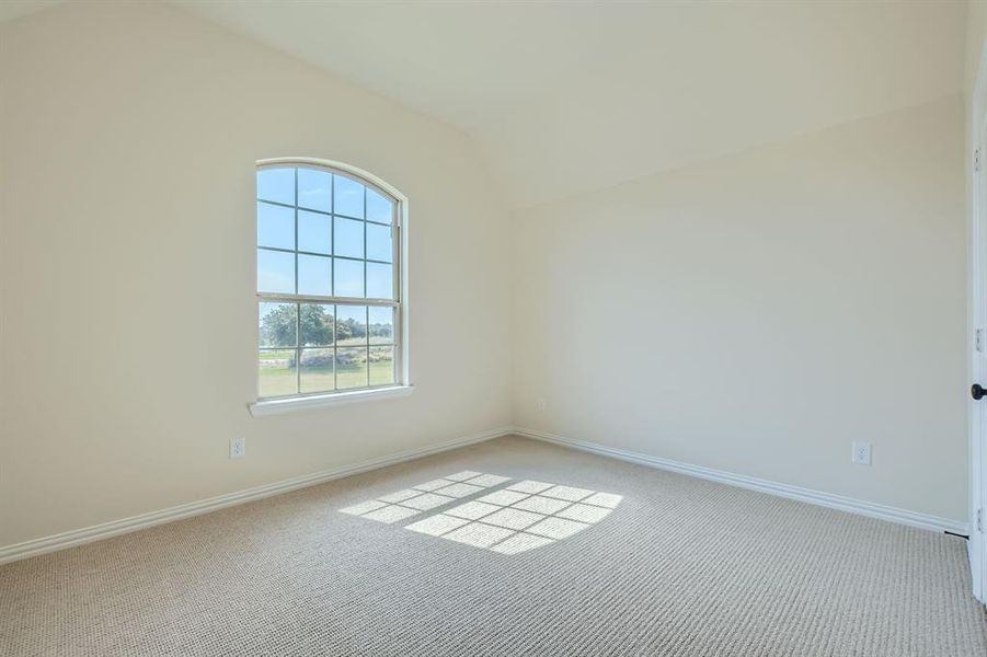 Carpeted empty room featuring plenty of natural light and vaulted ceiling