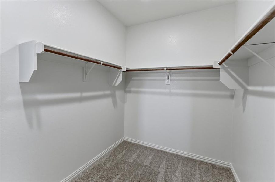 Spacious walk-in closet featuring white walls, baseboards, and neutral-toned carpet