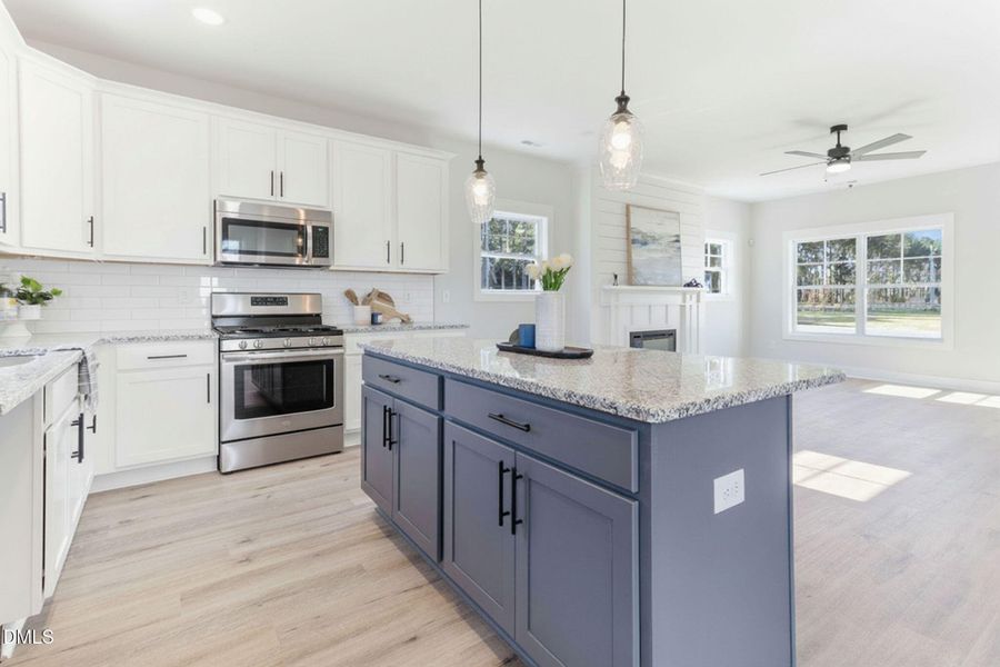 117-web-or-mls-IMG_3972RE Stainless Stee