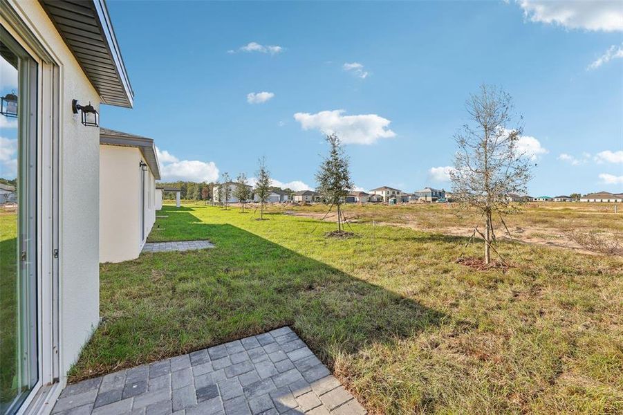 Exterior details and patio area of a home in Wynnstone - Signature Series, Davenport (Image 24).