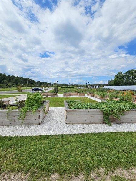 Image 36 of a home in Angeline Active Adult: Active Adult Manors.