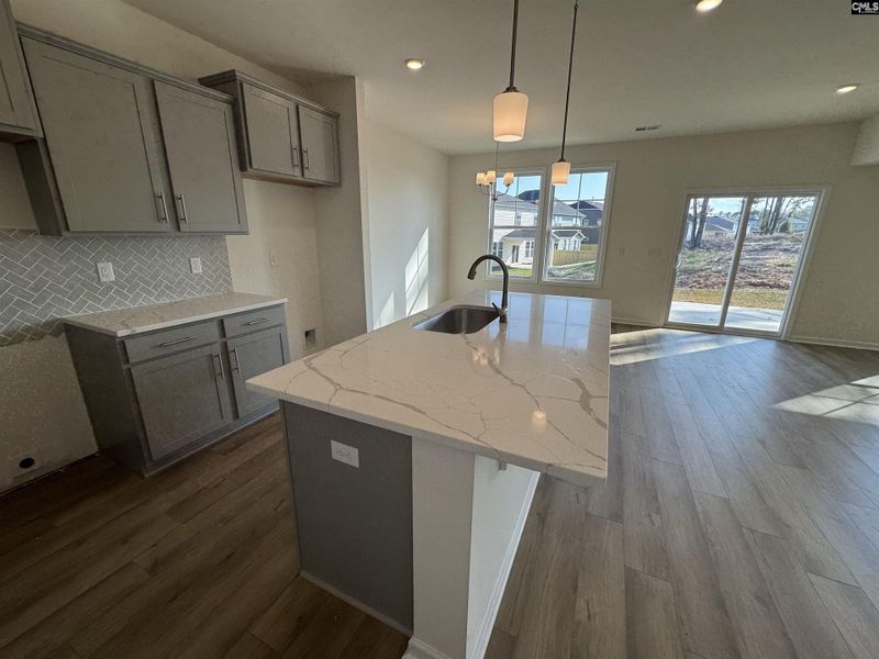 Furnished interior view inside a new home in Boykin Hills, Chapin (Image 5).