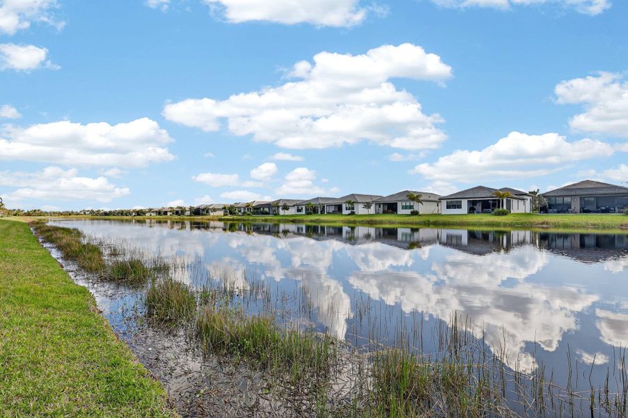 48-web-or-mls-7R7A7583