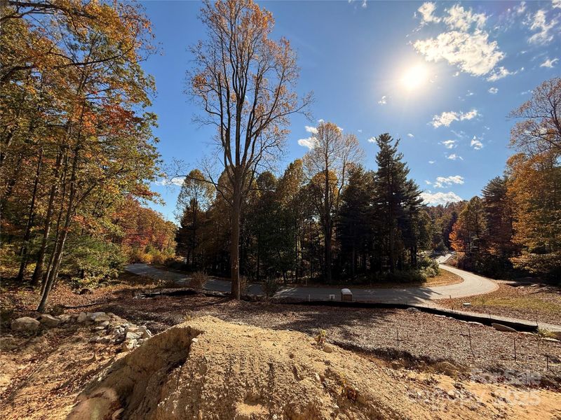 Natural landscape and outdoor views near  in Flat Rock (Image 15).