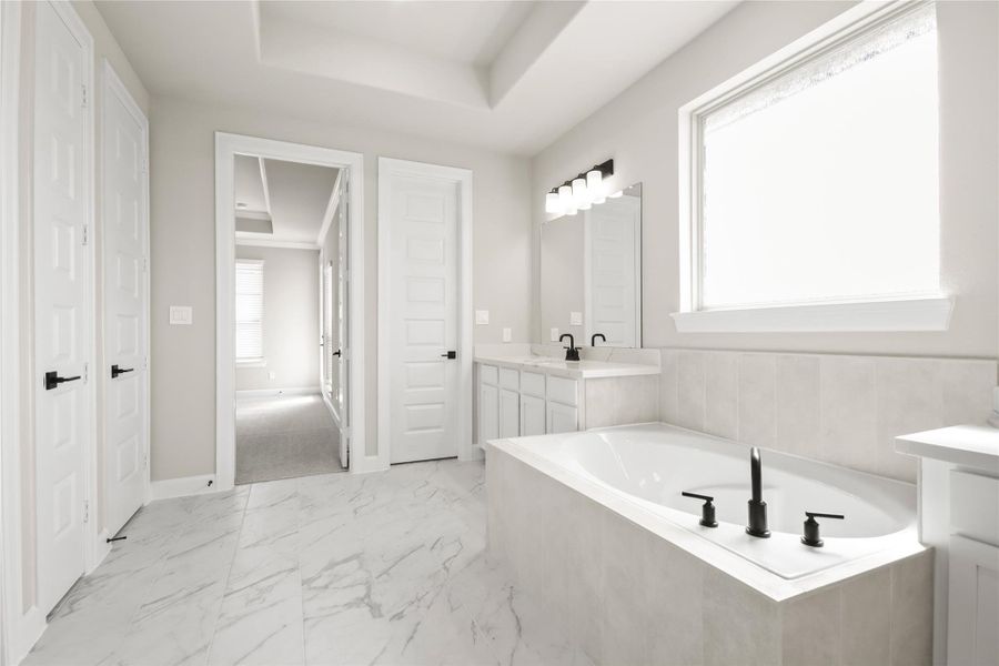 Luxurious owner's bath