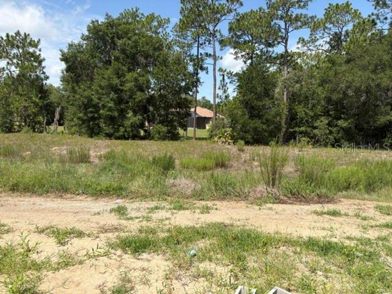 Natural landscape and outdoor views near Juliette Falls in Dunnellon (Image 9). Natural landscape and outdoor views near Juliette Falls in Dunnellon (Image 9).