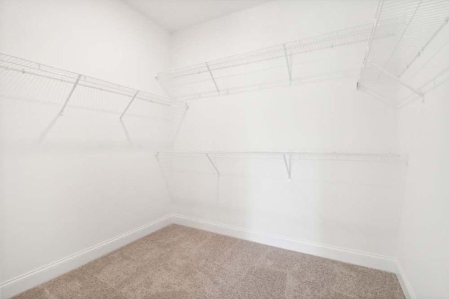 Primary Bedroom Walk-in Closet