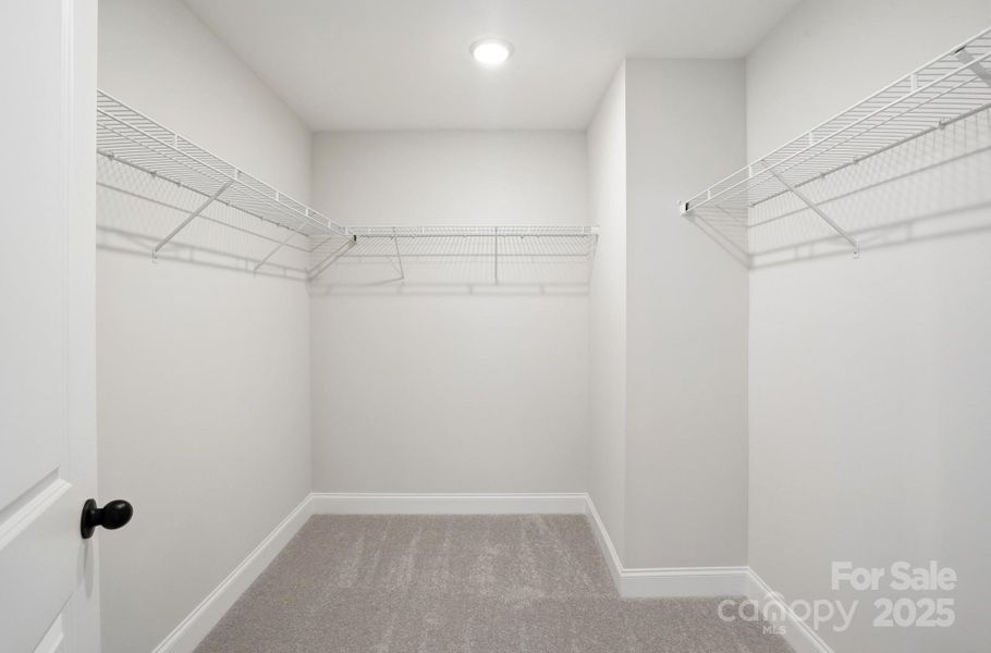 Walk in Closet