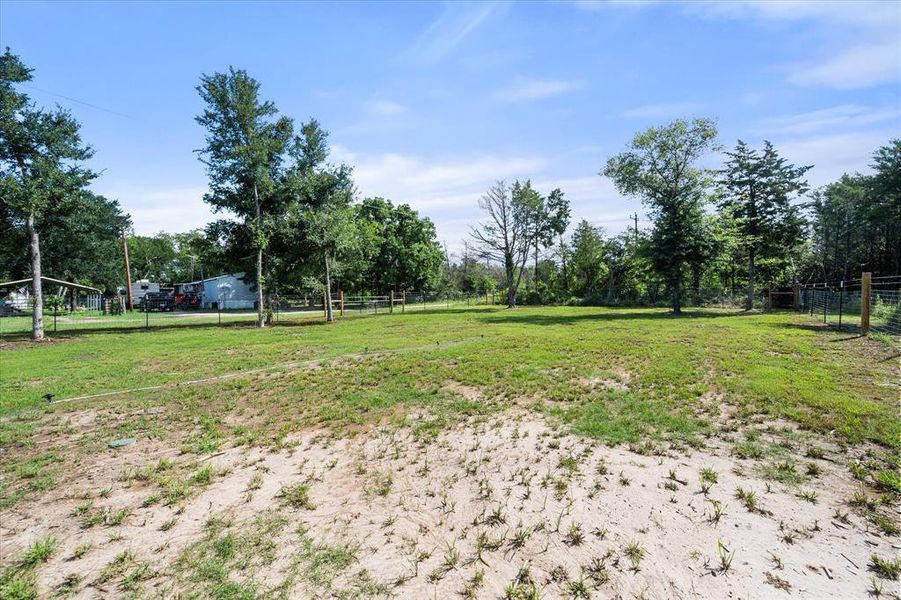 Large, fully fenced back yard with mature trees. Large, fully fenced back yard with mature trees.