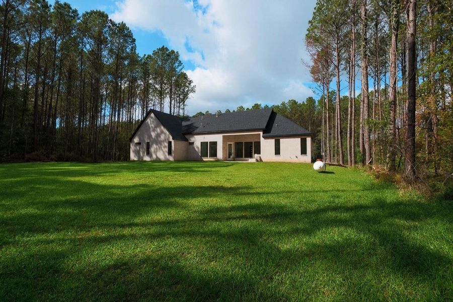 Oversized backyard. Oversized backyard.