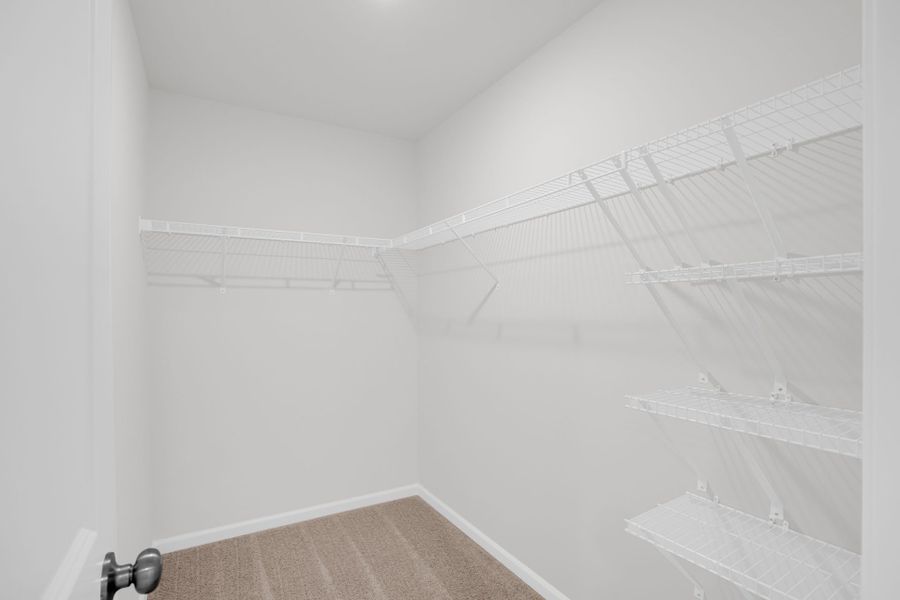 Spacious, unfurnished interior of a new home in Carriage Estates, Lexington (Image 40).