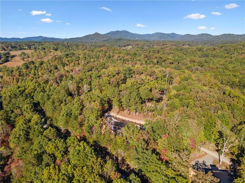 Natural landscape and outdoor views near  in Mineral Bluff (Image 44).