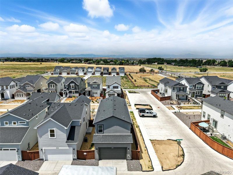 2071 Generations Aly ~ Ready Now 2071 Generations Aly ~ Ready Now