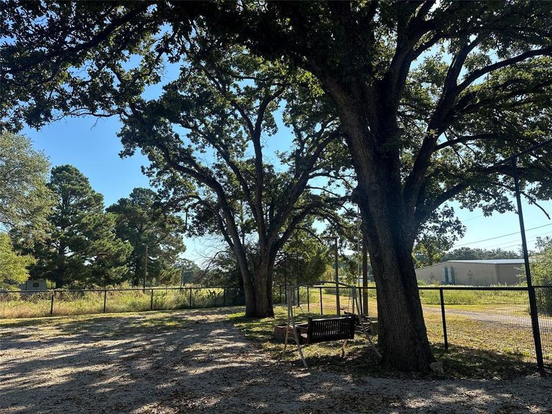 Natural landscape and outdoor views near  in Streetman (Image 25).