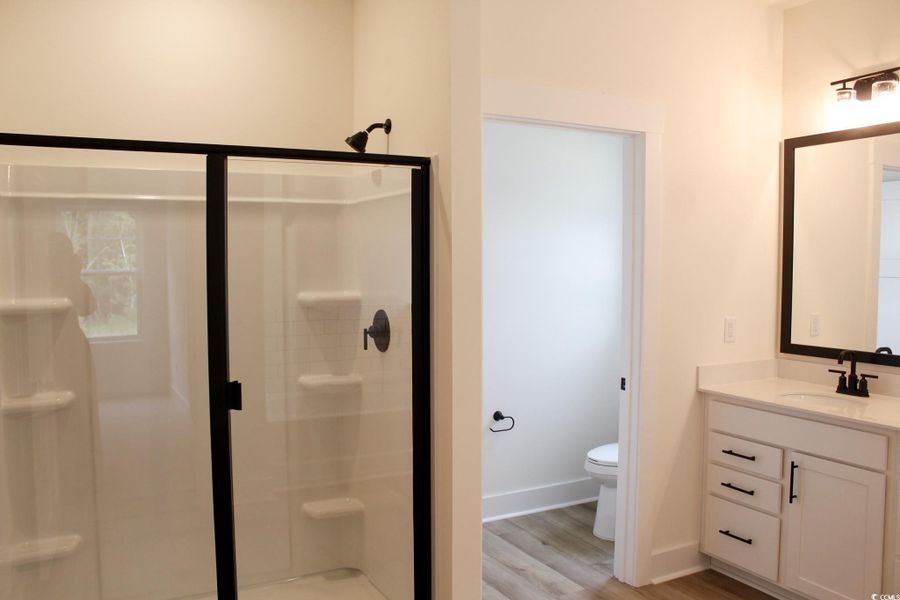 Bathroom with a shower stall, vanity, and light wood-style floors