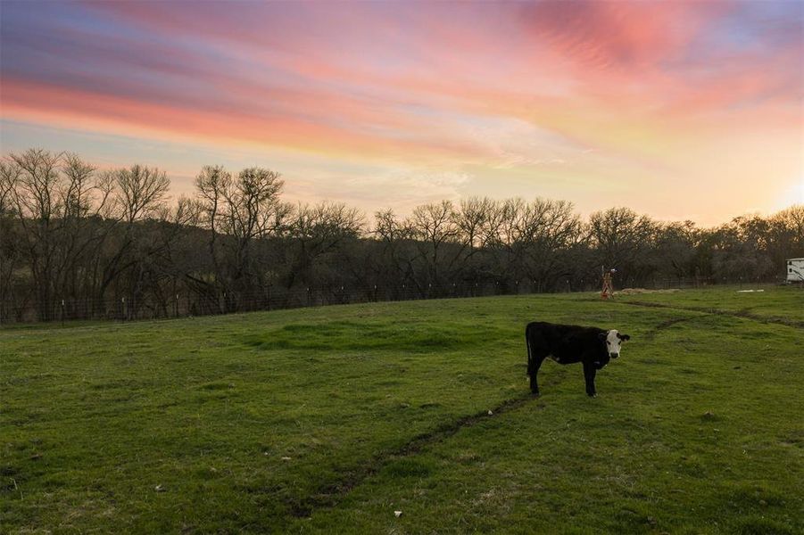 Natural landscape and outdoor views near in Valley Mills (Image 29). Natural landscape and outdoor views near in Valley Mills (Image 29).