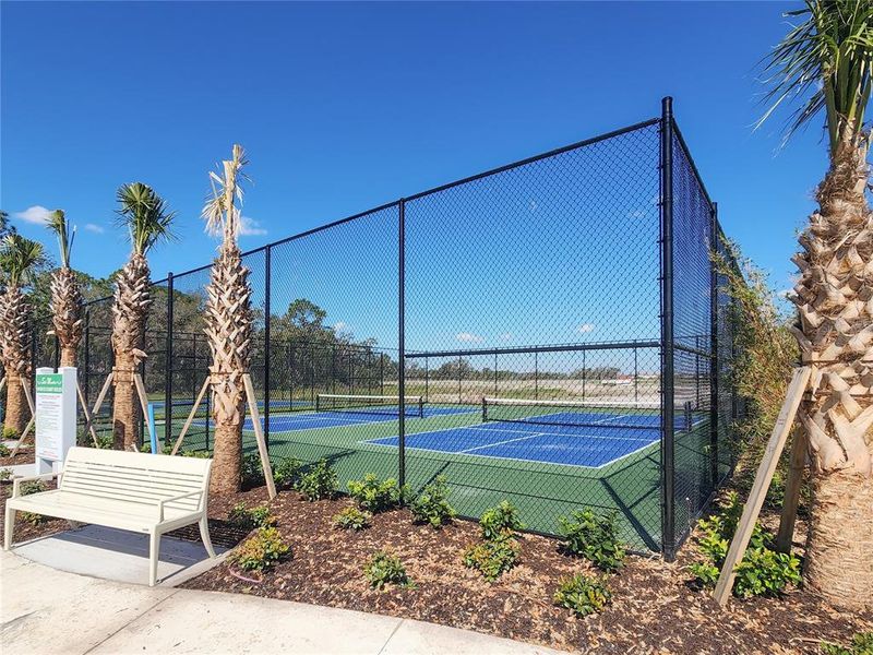 New Pickle Ball Court