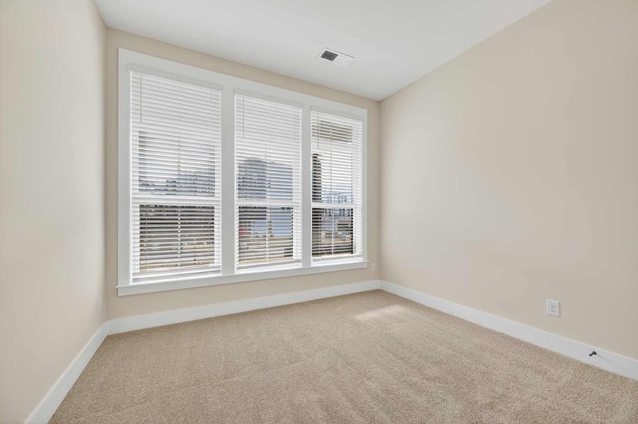 The Savannah - Study The Savannah - Study