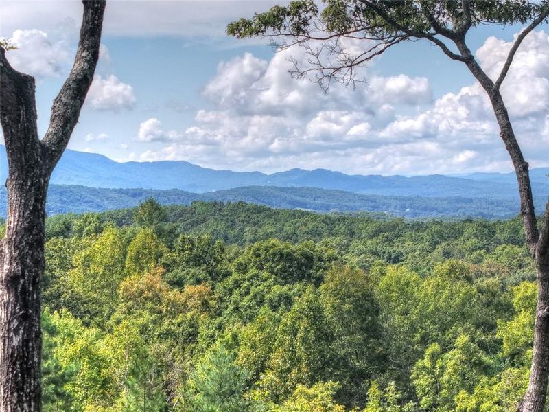 Natural landscape and outdoor views near  in Morganton (Image 51).