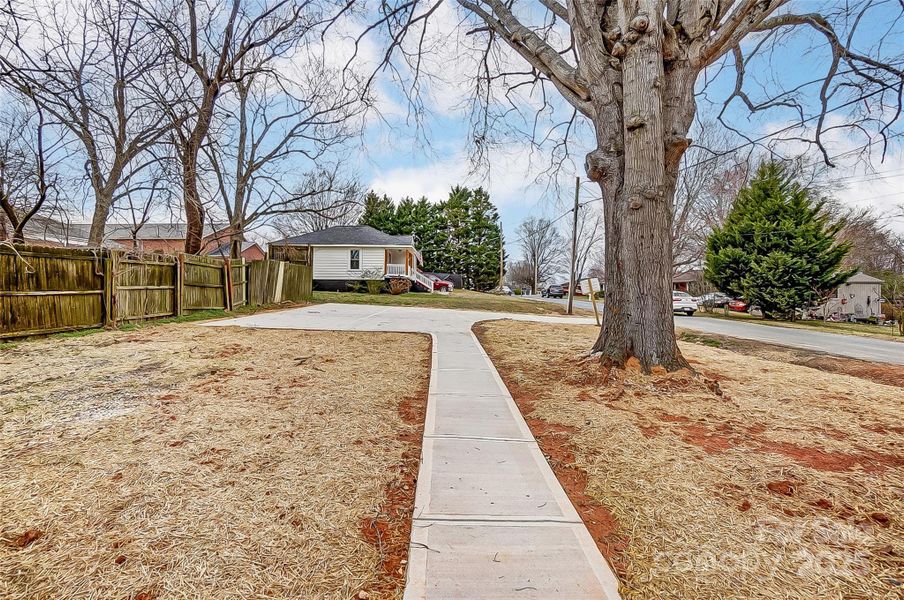 Backyard w/ Back Patio, Walkway, and Driveway