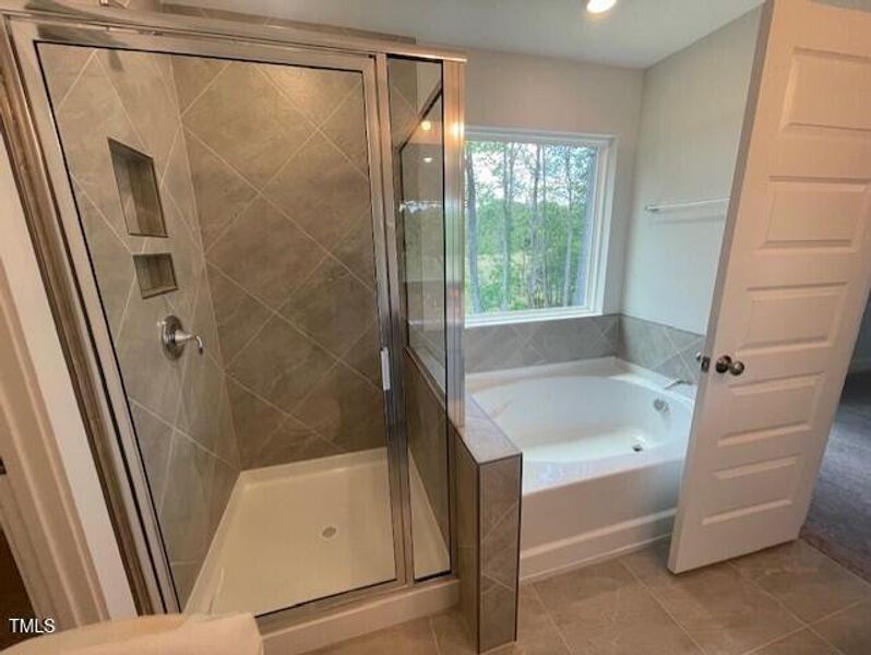 Luxury Shower and Garden tub Luxury Shower and Garden tub