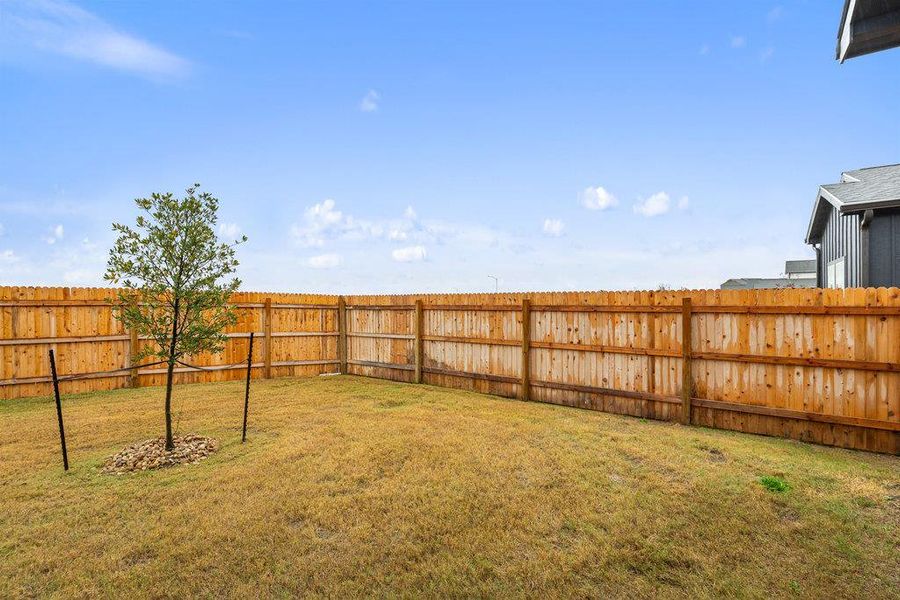 View of fenced backyard