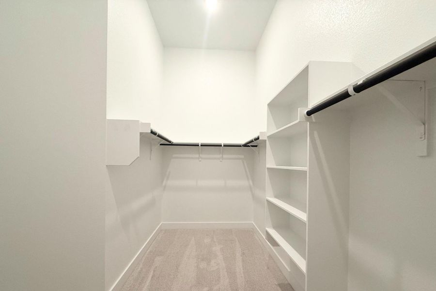Walk-in closet featuring white built-in shelving, multiple hanging rods, and light-colored carpet flooring