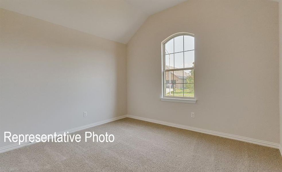Room featuring a neutral color palette, vaulted ceiling, and carpeted flooring