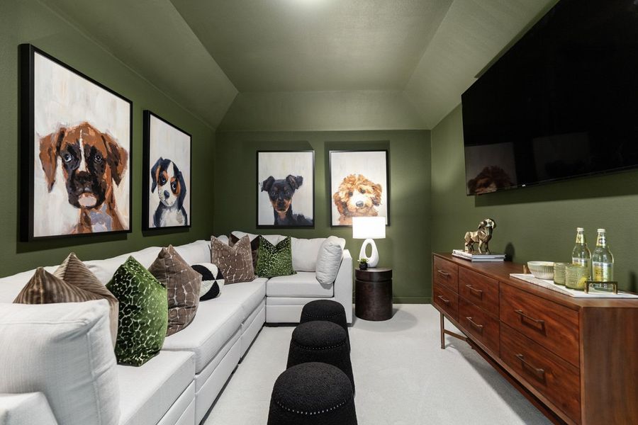 Entertainment Room