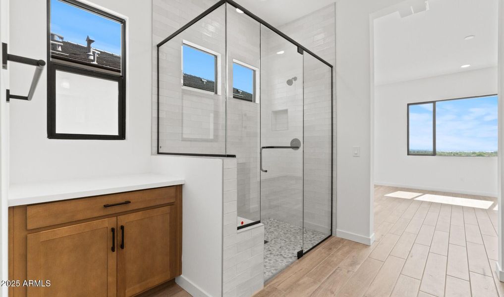 FSVV Homesite #4 Primary Bath3 (Large)