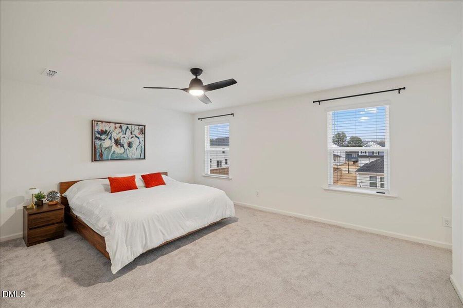 29-50 Button Bush Dr